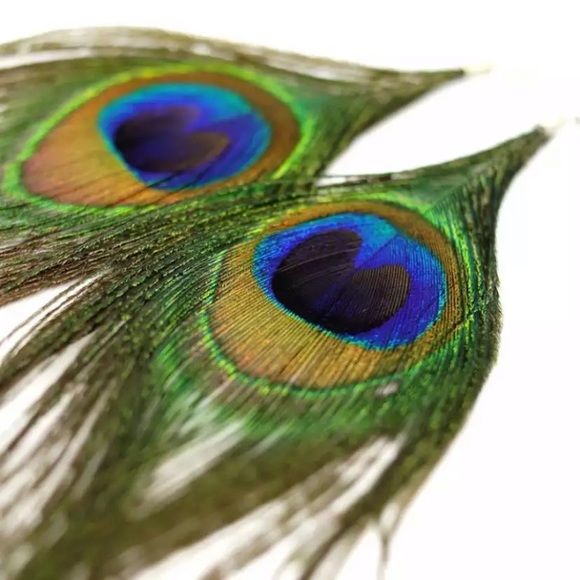 “Showtime” Peacock Bird Feather Statement Earrings - Picture 11 of 12